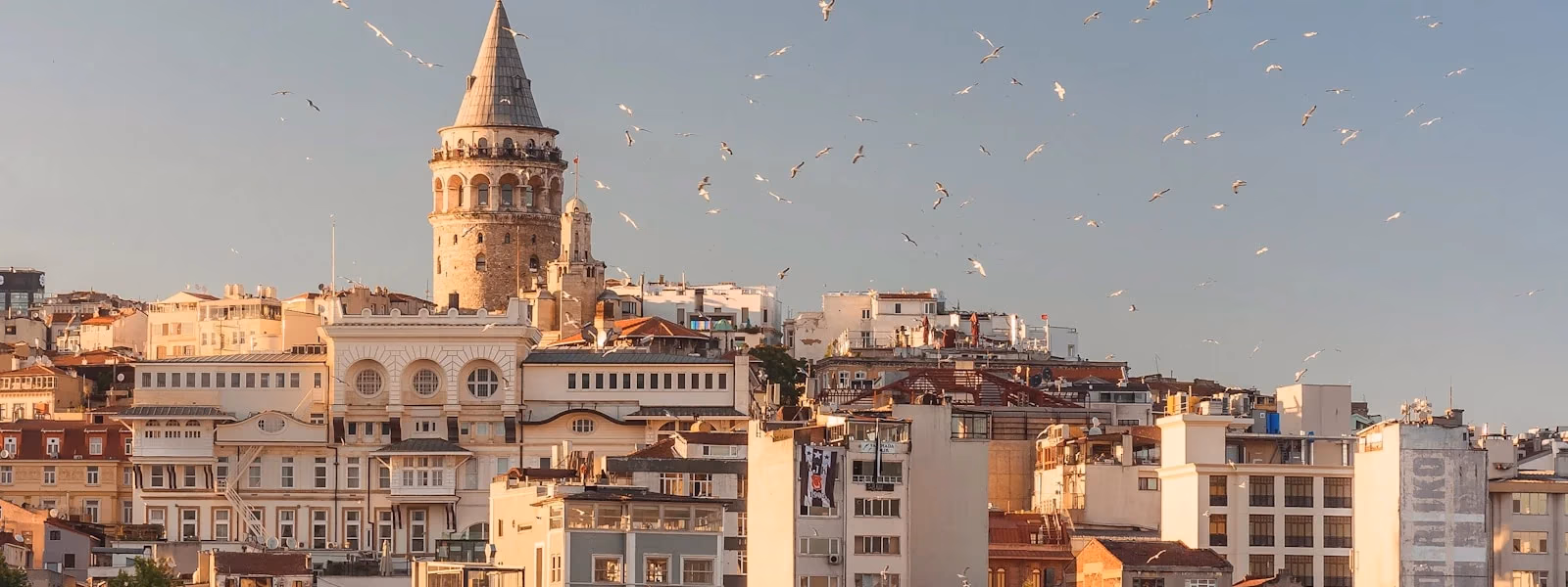 Galata Tower and Istanbul's rooftops at golden hour with seagulls — Elemen Transfer serves every district.