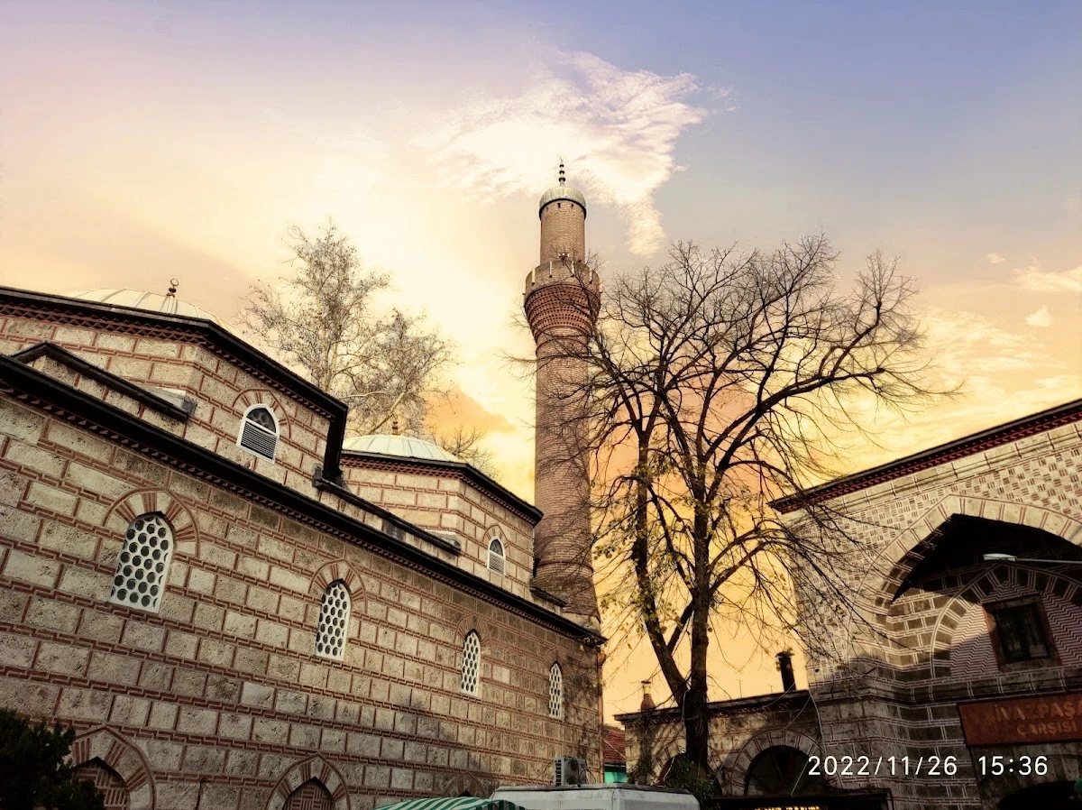 Bursa
