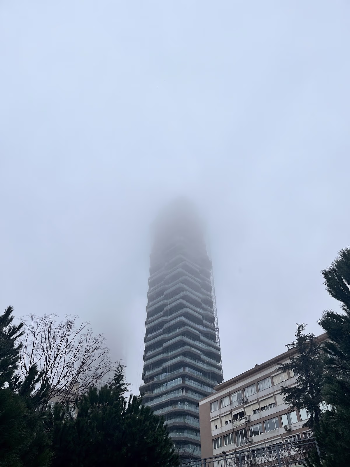 浓雾笼罩下的伊斯坦布尔艾提勒文华东方酒店摩天大楼，透过树木从低角度仰望。