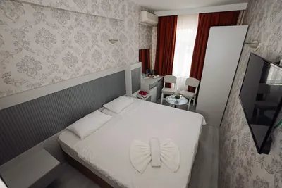 Topkapı Golden Time Hotel - Photo 4